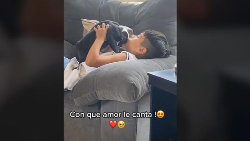 “El motivo que me hace vivir”: Niño enternece TikTok al dedicarle una salsa romántica a su perrito 