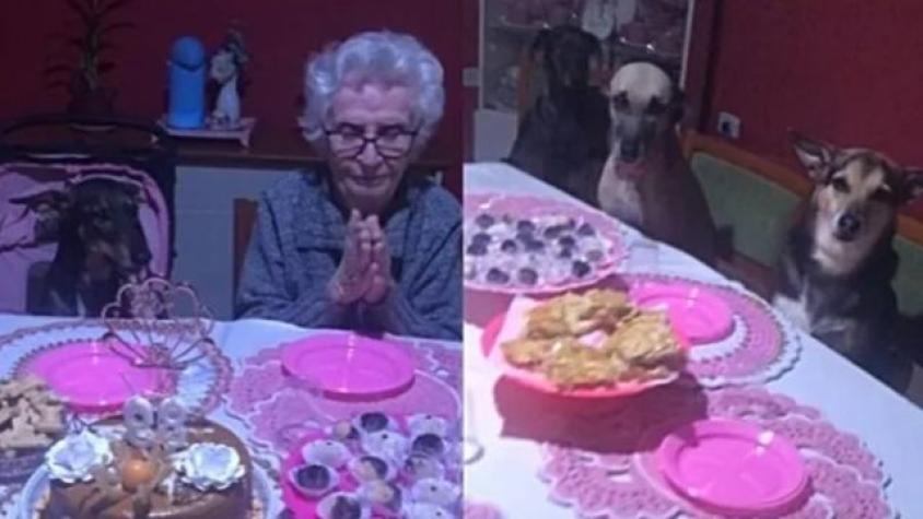 Conmovedor video: Celebró sus 89 años junto a sus ocho perritos como invitados especiales 