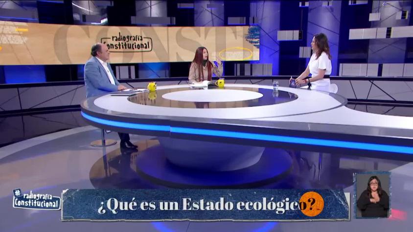 Exconvencionales explicaron ¿Qué es un Estado Ecológico?