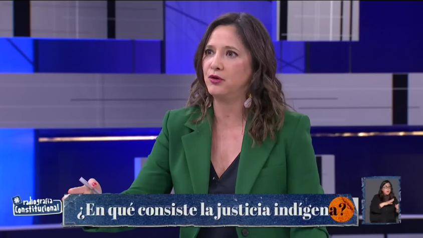 Radiografía Constitucional / Capítulo 13 / Estado Plurinacional