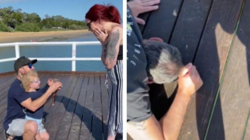 Hombre pidió matrimonio en un muelle y el anillo terminó cayendo al fondo del mar