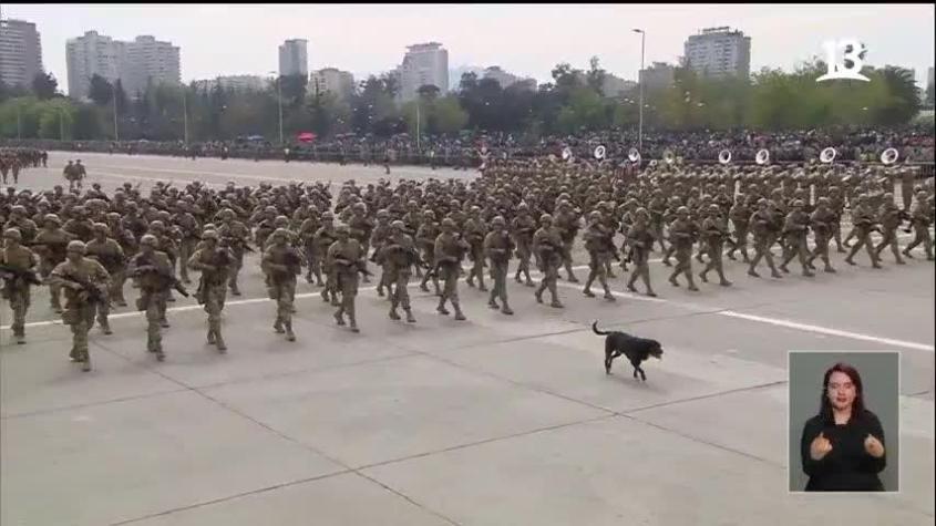 Perrito callejero “se coló” en la Parada Militar y se unió al desfile