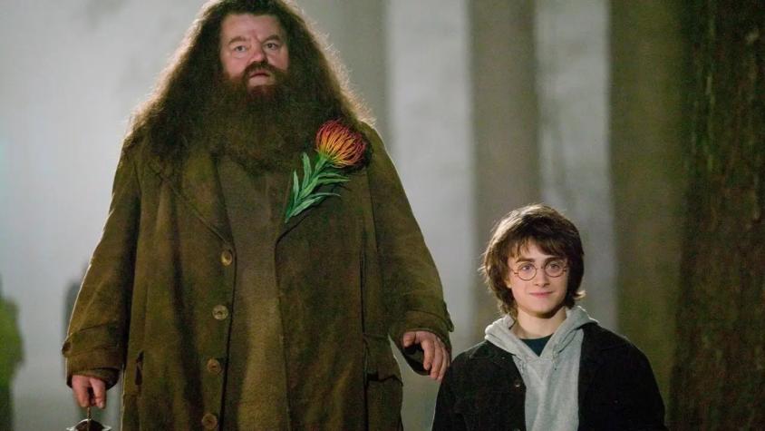 "Era un hombre encantador": Daniel Radcliffe se despide de "Hagrid" 