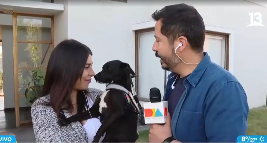 Daniela rescató a perrito abandonado por sus dueños en Colina