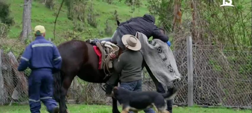 “Ayúdenme”: Pancho Saavedra vivió tremendo susto tras subirse a un caballo "chúcaro"