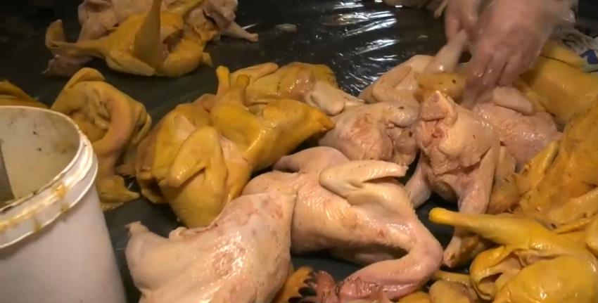 Incautan 200 kilos de comida en Recoleta: Pollos eran pintados de amarillo para mejorar aspecto