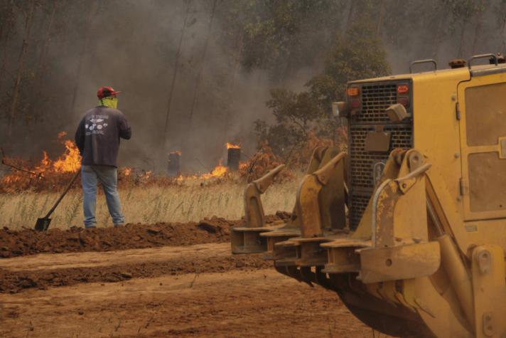 Este lunes comienza pago del Bono de recuperación: ¿Quiénes lo reciben y de cuál es el monto?