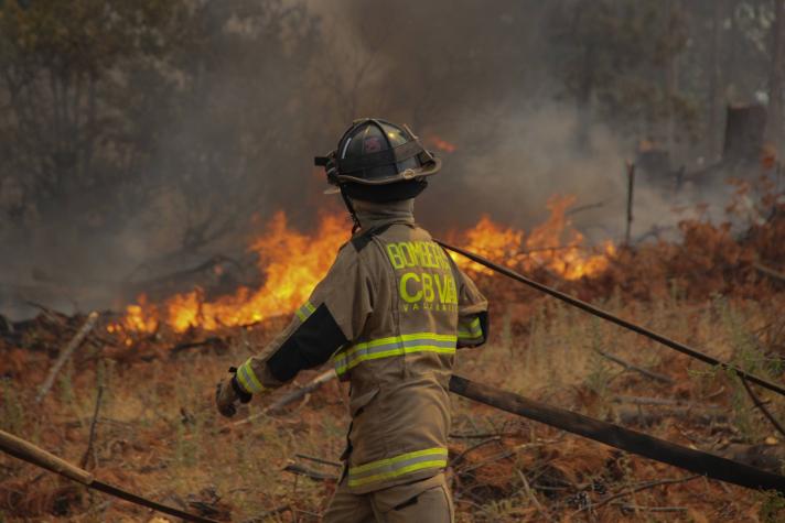 Bono de recuperación por incendios forestales: Conoce el monto, quiénes lo reciben y cuándo