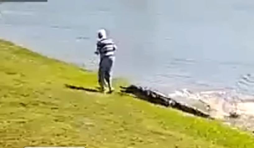 Mujer de 85 años murió al proteger a su perro del ataque de un caimán