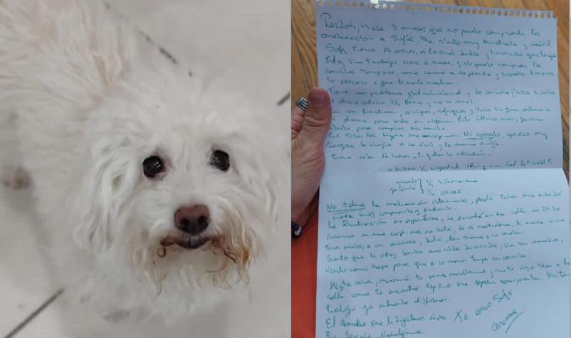 "Me siento frustrada e inútil": La dolorosa carta de mujer que abandonó a su perrita