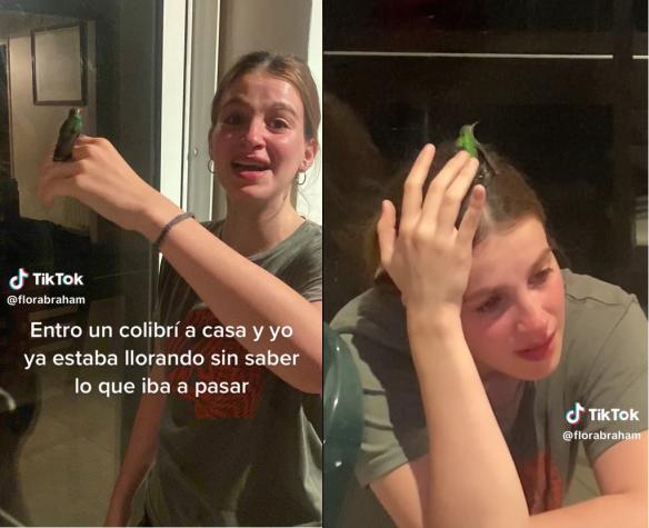 "Gracias por volver a encontrarme": Joven pidió señal a su perrita fallecida y un colibrí se posó en su cabeza