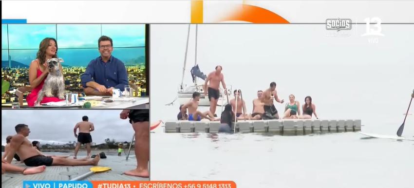 Juguetón delfín causa sensación en las playas de Papudo