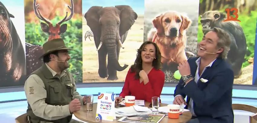 “¡Atento Esteban!”: loro se hace pasar por los guardias del Buin Zoo