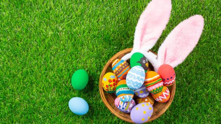 Semana Santa: ¿Cuándo llega el Conejo de Pascua?