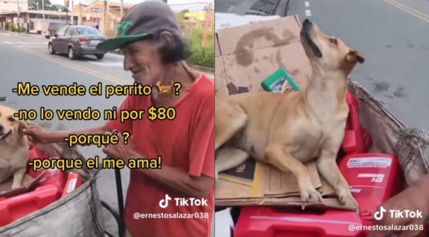 "Ella me ama": Hombre en situación de calle se niega a vender a su perrita