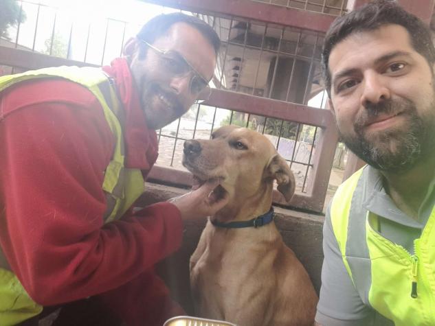 "¡Gracias, gracias!": Trabajadores lograron rescatar a perrito atrapado en las vías del Metro
