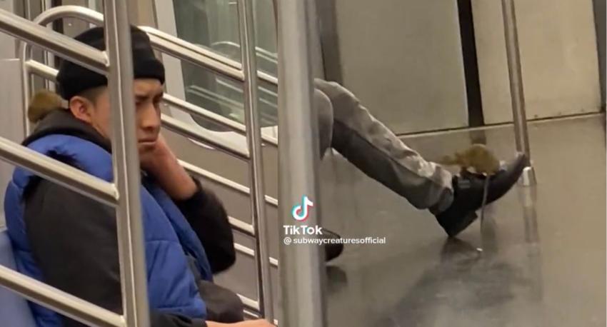 Se quedó dormido en el Metro y ratón se le trepó recorriendo todo su cuerpo