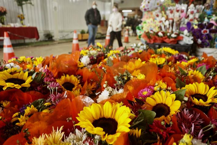 ¿Cuándo se celebra el día de la mamá?