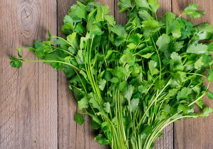 ¿Cilantro o perejil? ¡Este es el mejor truco para diferenciarlos!