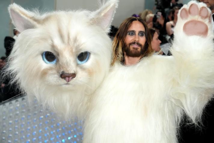¿Por qué algunos famosos fueron vestidos de gatos a la Met Gala 2023?