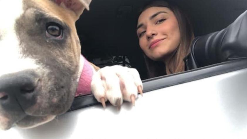 Perrita falleció de pena dos días después de la muerte de su dueña