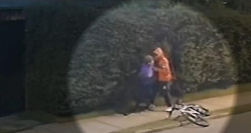 El perro "cómplice": Hombre entrenó a su mascota para ayudarlo en robos