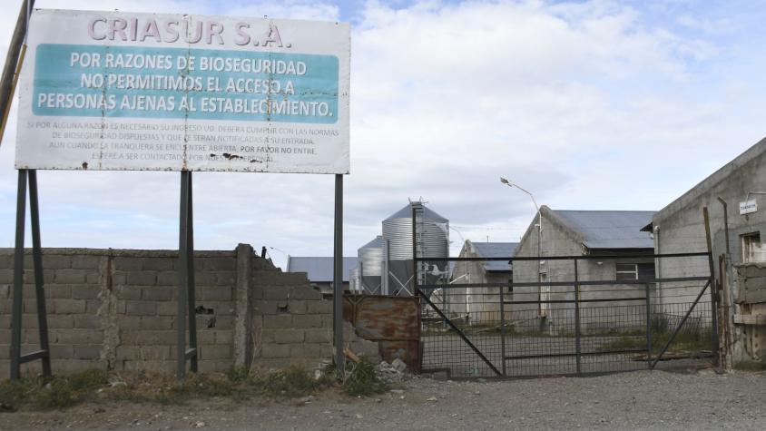 Chileno fue rescatado de granja en Argentina: Familia pensaba que estaba muerto