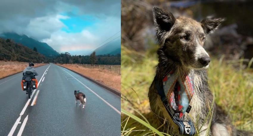 Turista estadounidense adoptó a perrita chilena: se conocieron en un viaje por la Carretera Austral