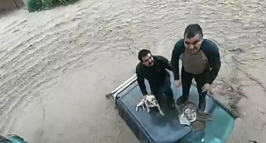 Helicóptero de Carabineros rescató a dos civiles y un perrito en Talagante