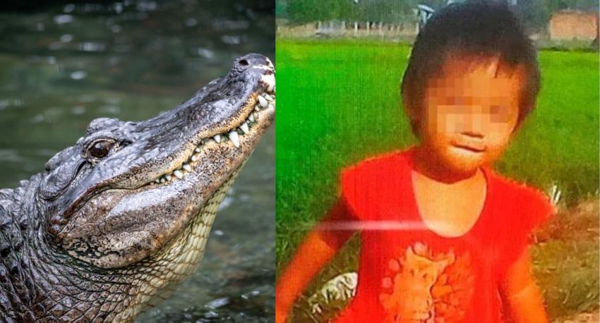 Niña de 2 años es devorada por los cocodrilos de su padre