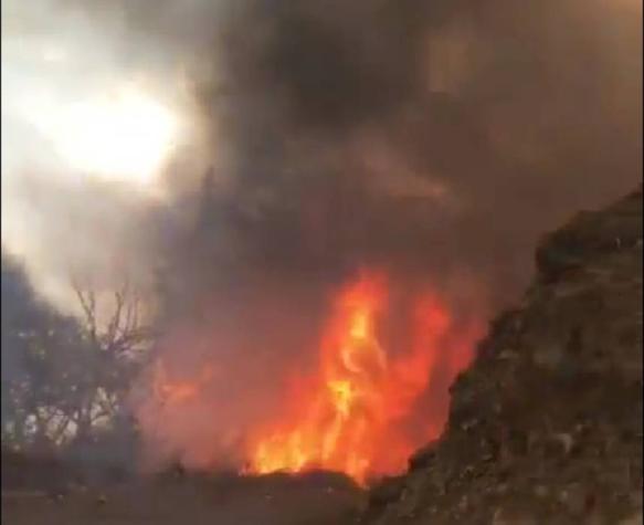 Atento: ordenan la evacuación de dos sectores por incendio forestal en Alto del Carmen