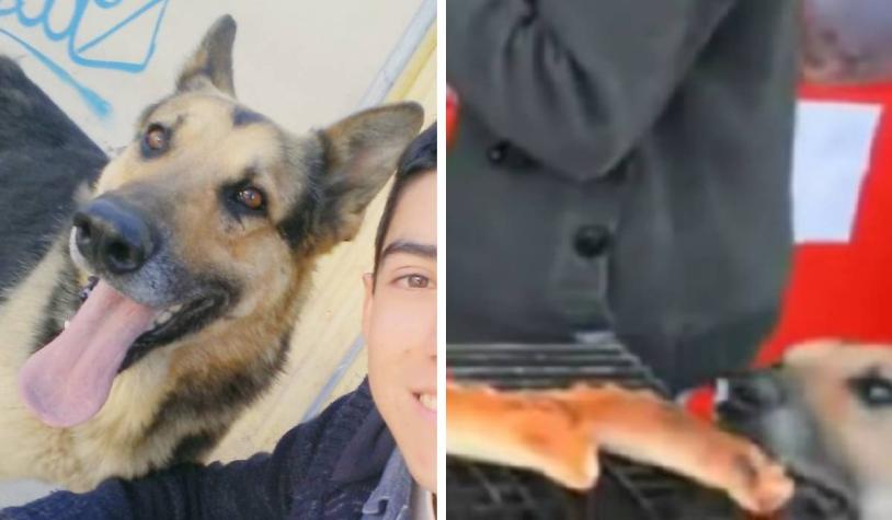Confirman muerte de Orejón, perro que se hizo viral por robar empanadas