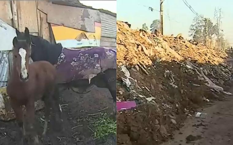 Vertedero ilegal en Maipú: más de 100 toneladas de basura 