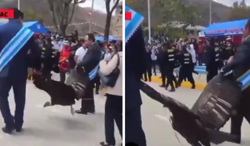 Indignante video: alcalde arrastró a cóndor andino de sus alas en un evento 