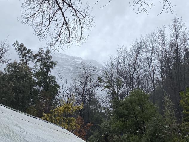 "Van hasta con niños": gente fue a Cajón del Maipo pese a advertencias. Cierran la comuna
