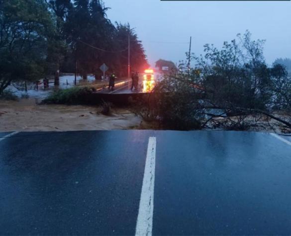 Enorme socavón causa preocupación entre la ruta de Constitución y Putú