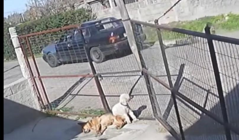 Hombre amarró a delincuente a su auto y lo arrastró por ocho cuadras