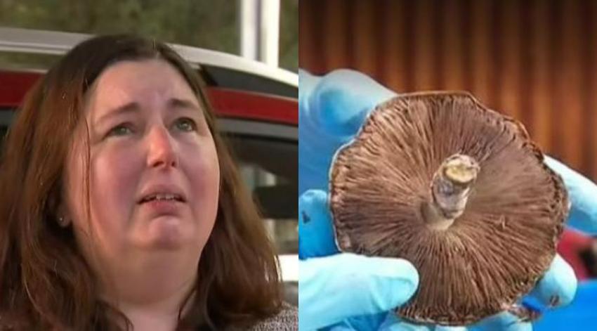 Mujer es acusada de servir hongos venenosos a sus ex suegros: Fallecieron días después