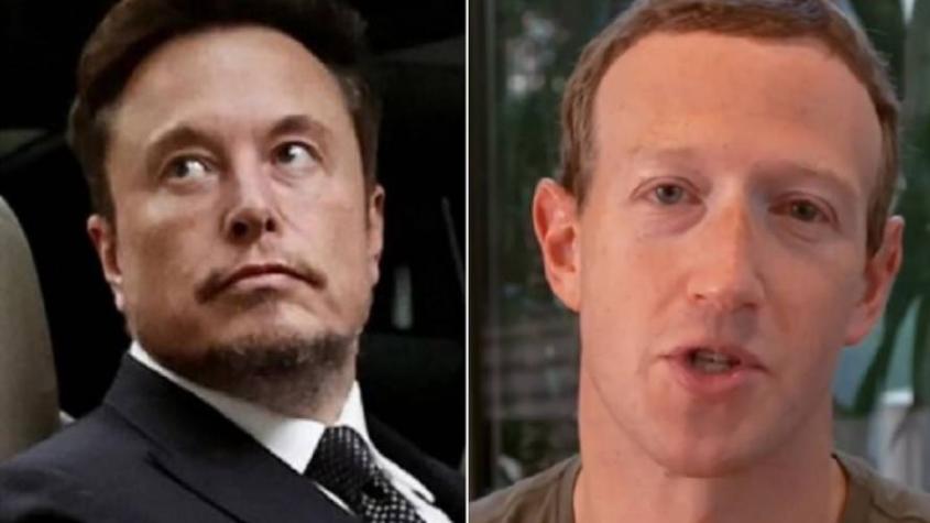 Se hará realidad: Elon Musk y Mark Zuckerberg van a pelear dentro de una jaula