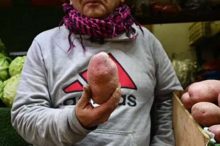 ¡Gobierno propone traer papas de Argentina tras desmedida alza de precios!