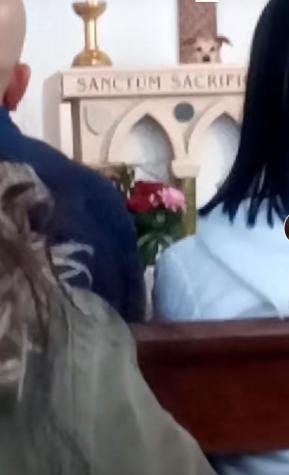 "San firulais": Perrito se robó las miradas al asistir a misa