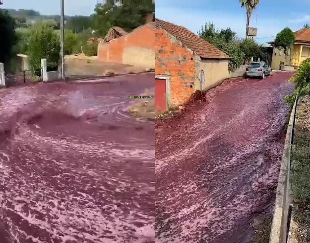 El sueño de muchos: Ciudad portuguesa casi fue inundada por un río de vino