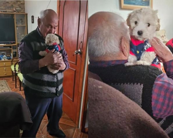 Tierna reacción de adulto mayor de 96 años cuando le regalan un cachorro