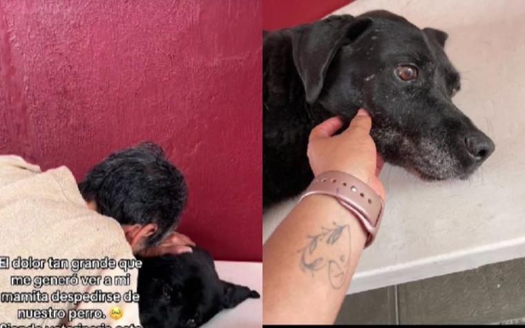 “Eres de mi familia”: Mujer de edad avanzada conmueve al despedirse de su perrito antes de morir 