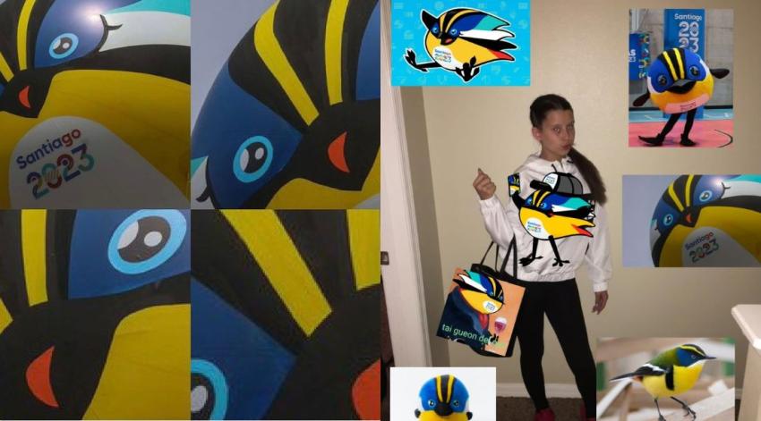 ¡Locura por Fiu!: Los mejores memes que ha dejado la mascota de los Juegos Panamericanos Santiago 2023
