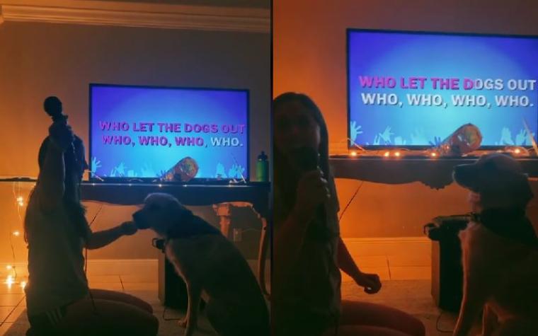 Perrita causa sensación en redes al cantar junto a su dueña  'Who Let the Dogs Out'