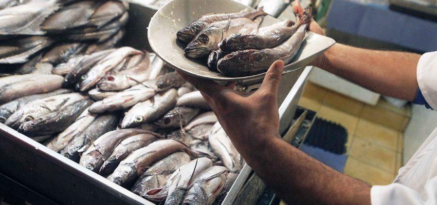 Tiktoker se enfermó tras comer pescado con parásitos para sus fanáticos: "Todo sea por entretenerlos" 