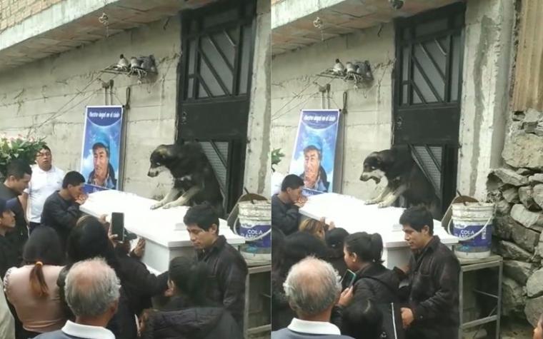 "Estoy llorando": Perrito conmueve al despedirse de su dueño en funeral 