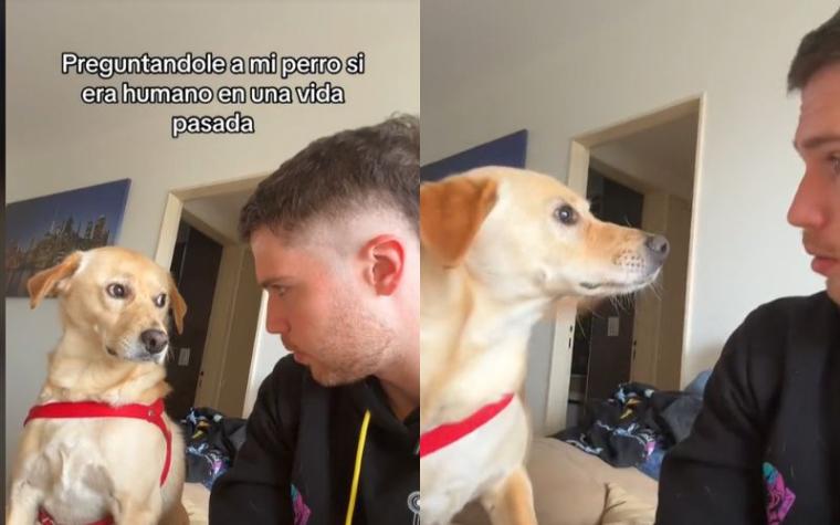 "¿En una vida pasada eras humano?": Impresionante reacción de un perrito tras pregunta de su dueño