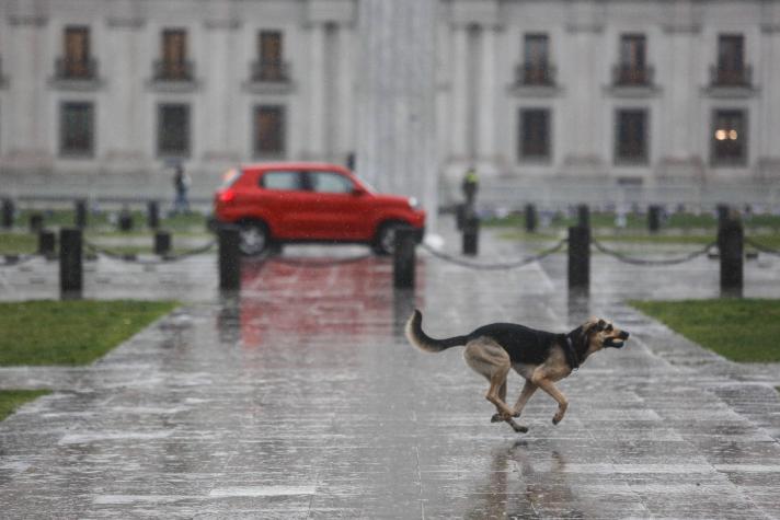 ¿A qué hora empieza la lluvia este miércoles 1 de noviembre en Santiago?